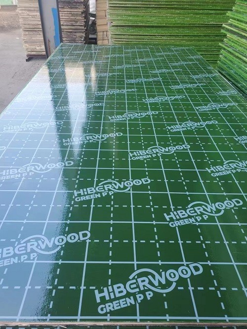 Bintangor Plywood 